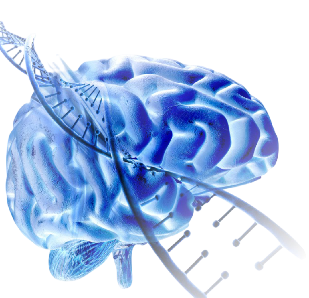 Comment fonctionne notre méthode de neurofeedback pour l’anxiété généralisée